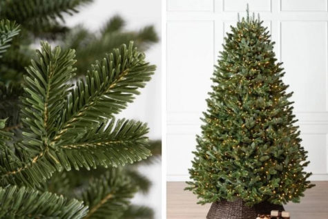 Real Christmas Trees or Fake Christmas Trees?