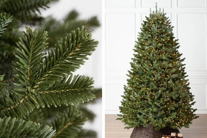 Real+Christmas+Trees+or+Fake+Christmas+Trees%3F